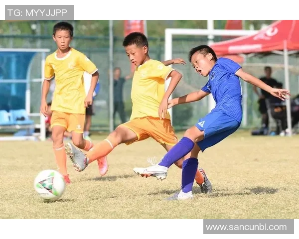 张纲足球：探索中国足球新风潮与青训体系的未来发展之路