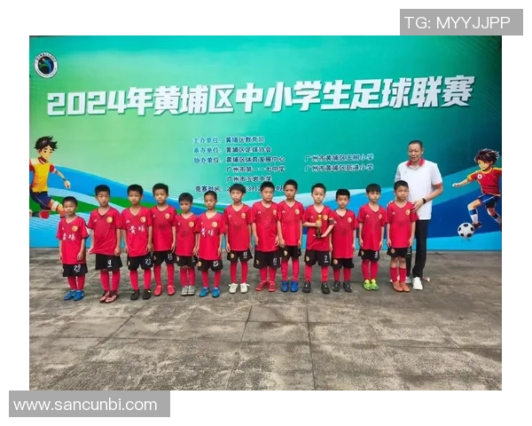 足球刘巍：从草根球员到职业联赛的奋斗与梦想之路