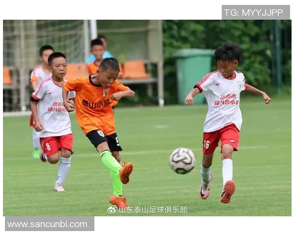 足球小将桑巴的梦想之旅与成长故事展现青春拼搏精神